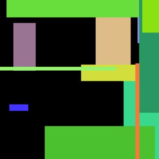 Lime Lamb Ring Video